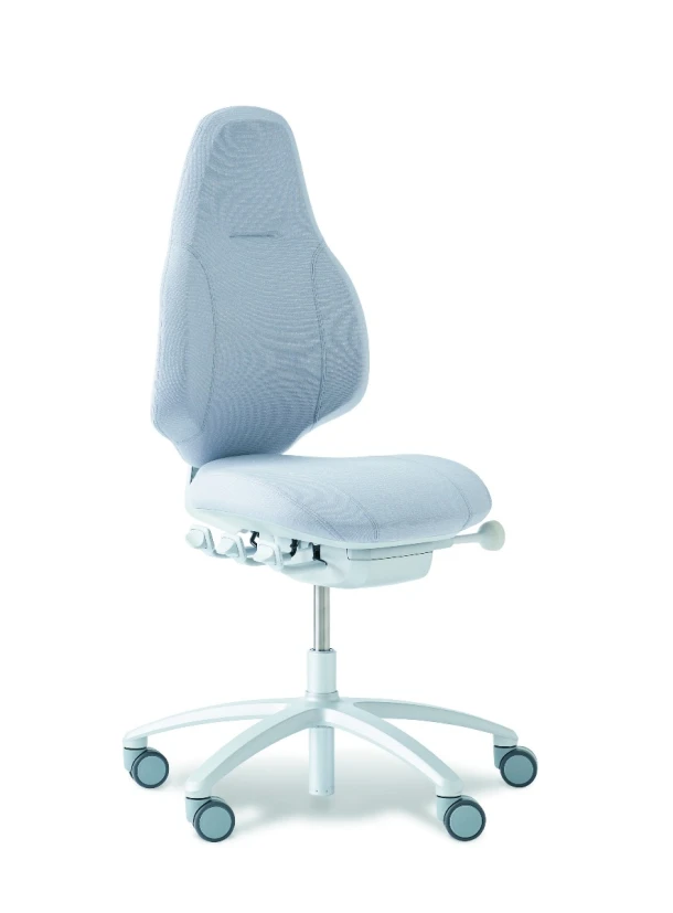 Bureaustoel RH Mereo 220 Zilver/grijs, large rug