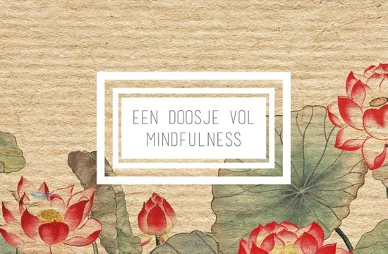 *DOOSJE VOL MINDFULNESS
