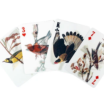 Speelkaarten 3D Vogels - Kikkerland
