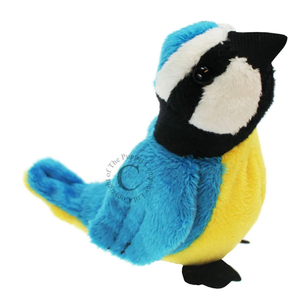 Vingerpop border collie Mano