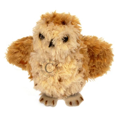 Vingerpop uil owl tawny