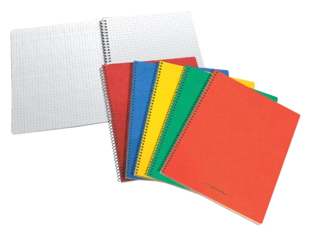 Schrift Aurora 105x160mm Ruit 5mm 240pag Ass
