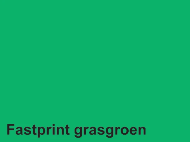 Kopieerpapier Quantore Colour A4 80g grasgroen 500