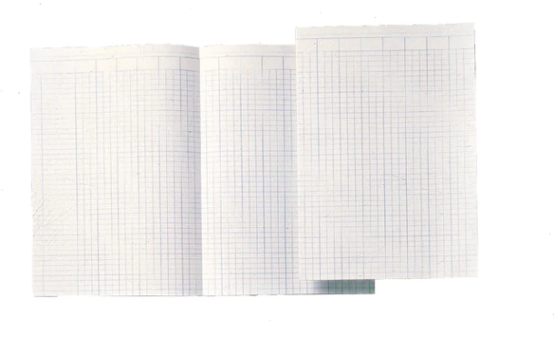 Accountantspapier folio A3607-95 14-kol 100 vel