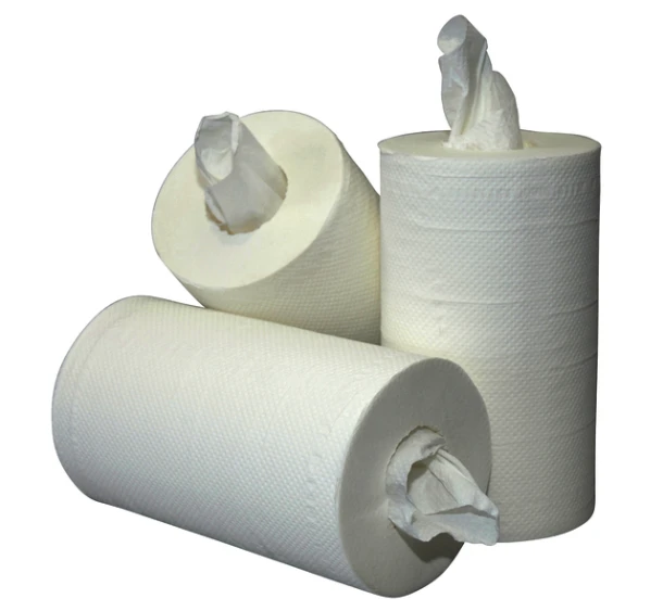 Poetsrol Euro Blanco Mini 2laags 20cmx60m Wit