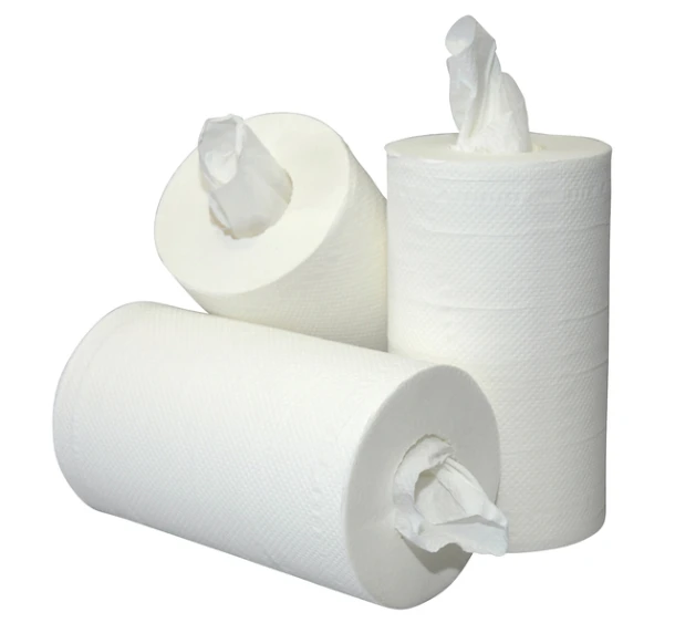 Poetsrol Euro Blanco Mini 2laags 20cmx60m Wit