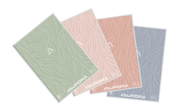 Schrift Aurora A4 lijn 120 pagina's 80gr design assorti