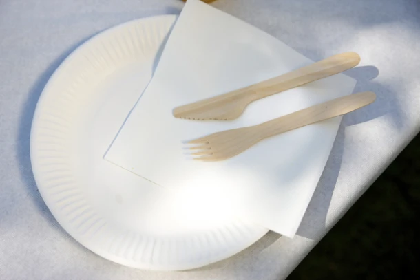 Bord Karton Diam 230mm Wit