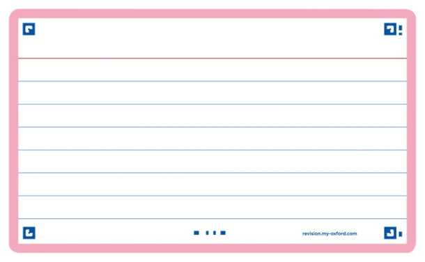 Flashcard Oxford 2.0 75x125mm 80 vel 250gr lijn roze