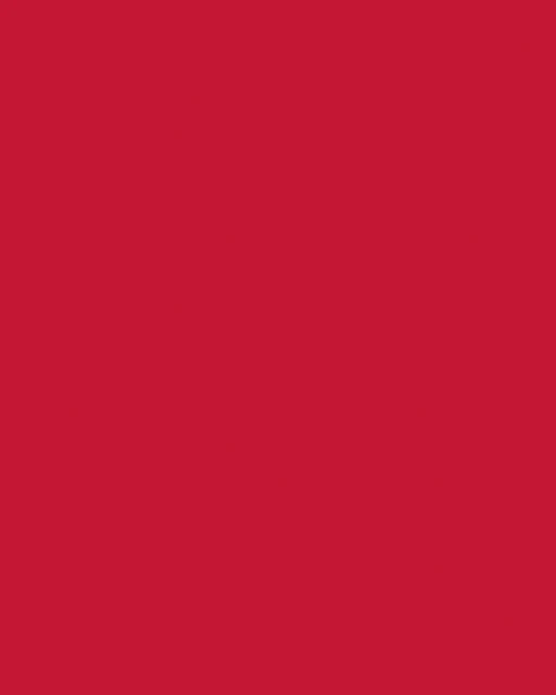 Etalagekarton Folia 1z 48x68cm 380gr Nr211 Rood