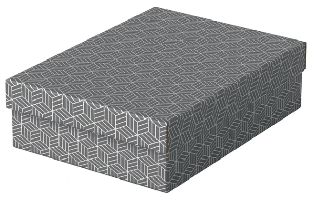 Opberg- en geschenkdoos Esselte home middelgroot 265x100x360mm grijs 3 stuks