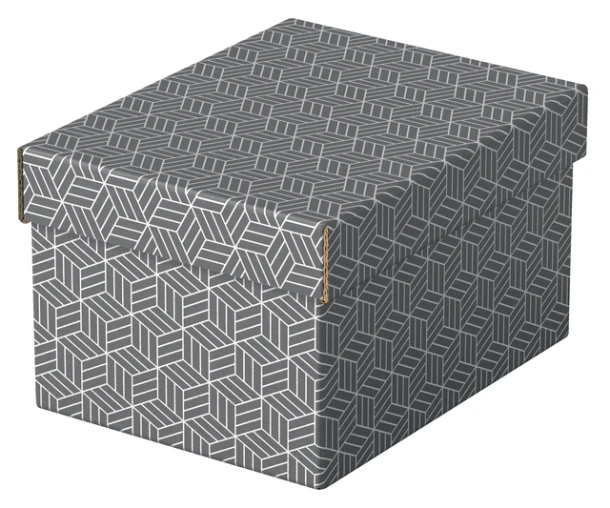 Opberg- en geschenkdoos Esselte home klein 200x150x255mm gr 3 st