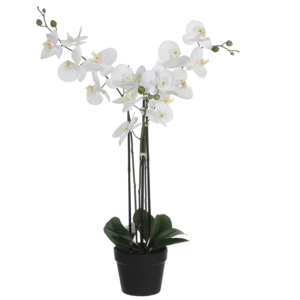 Kunstplant Mica Phalaenopsis orchideeën wit in plastic pot 79x51cm