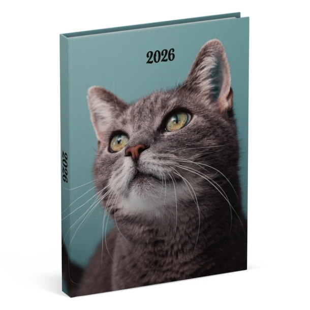 Agenda 2026 Lannoo My Favourite Friends 7d/2p Cats