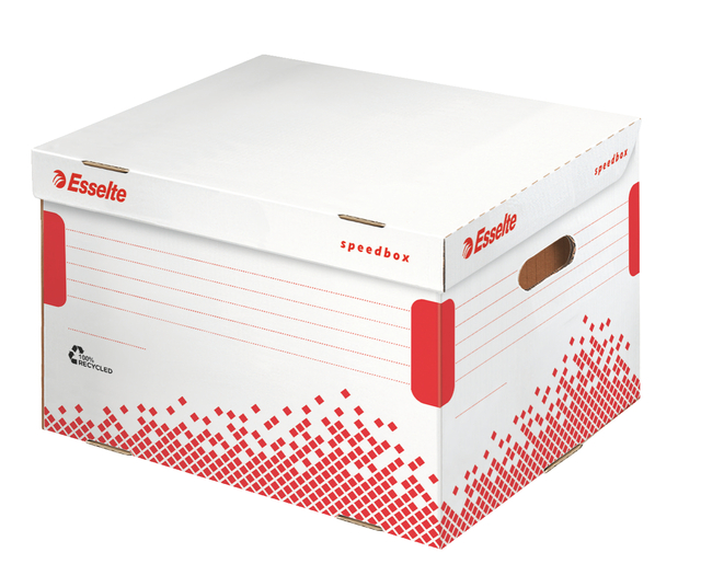 Opberg Transportdoos Esselte 392x301x334mm