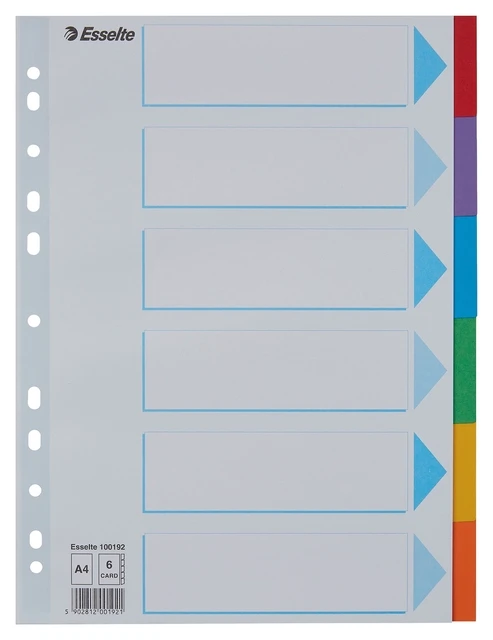 Tabbladen Esselte Standaard A4 6-delig karton 11-rings met voorblad assorti