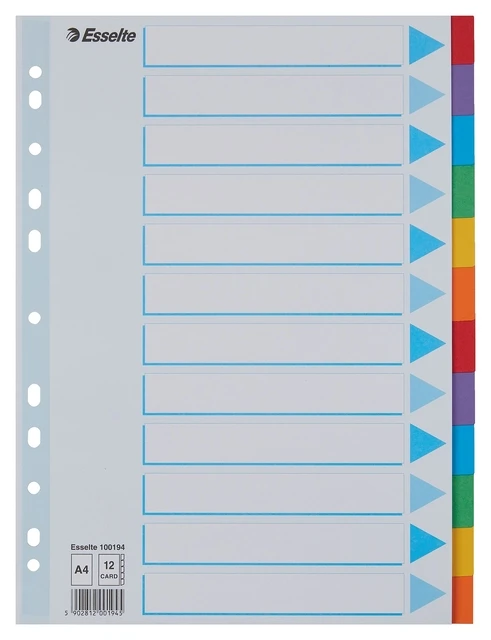 Tabbladen Esselte Standaard A4 12-delig karton 11-rings met voorblad assorti