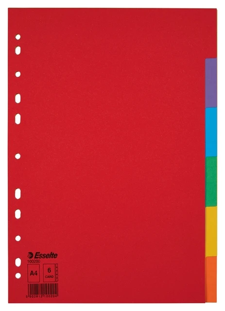 Tabbladen Esselte Economy A4 6-delig karton 11-rings assorti