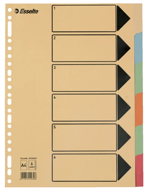 Tabbladen Esselte A4 23R karton 6-delig gekleurde tabs chamois