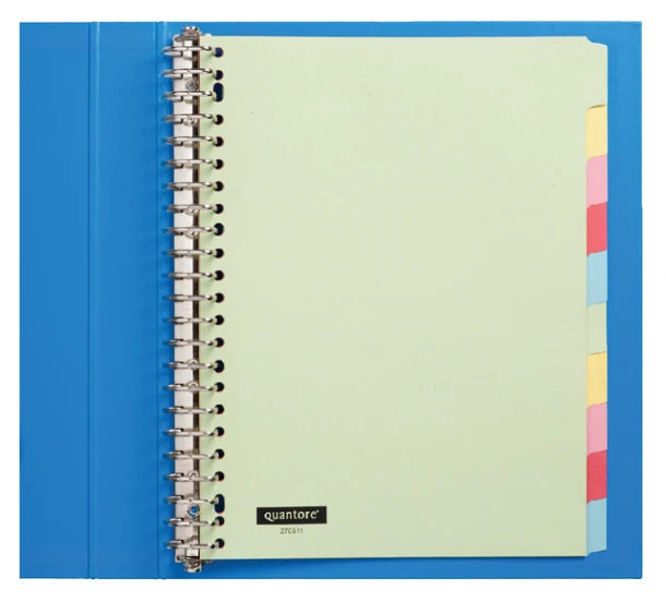 Tabbladen Quantore 23R 10-delig karton assorti