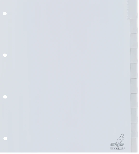 Tabbladen 2/4R 10-delig plastic breed G410FB