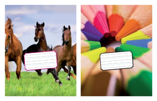 Schrift A5 gelinieerd+hulplijn 18blz. 6-3-6