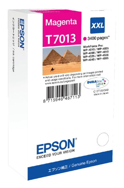 Inktcartridge Epson T70134010 rood HC