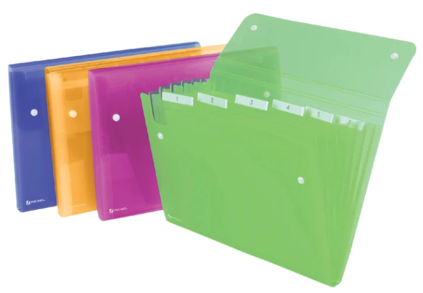 Sorteermap Rexel Ice 6tab Assorti