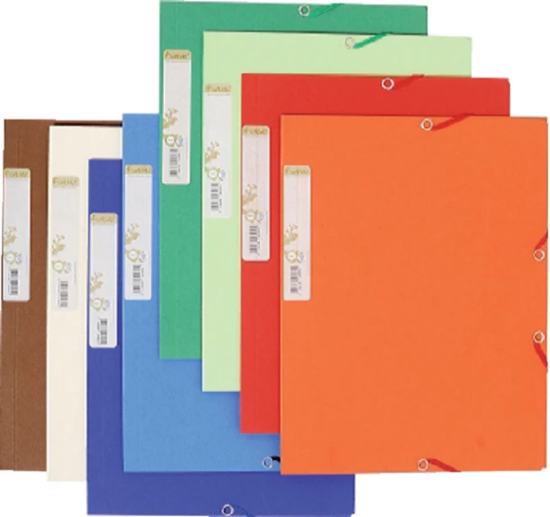 Elastomap Exacompta Forever Karton 25 stuks Ass