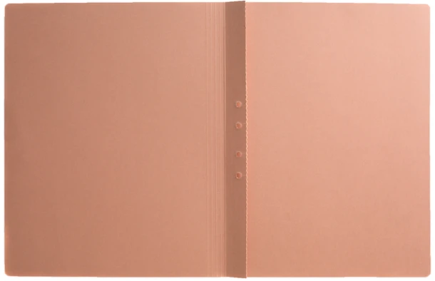 Binnenmap Quantore ICN1 folio met ponsgaten, pak 25 stuks