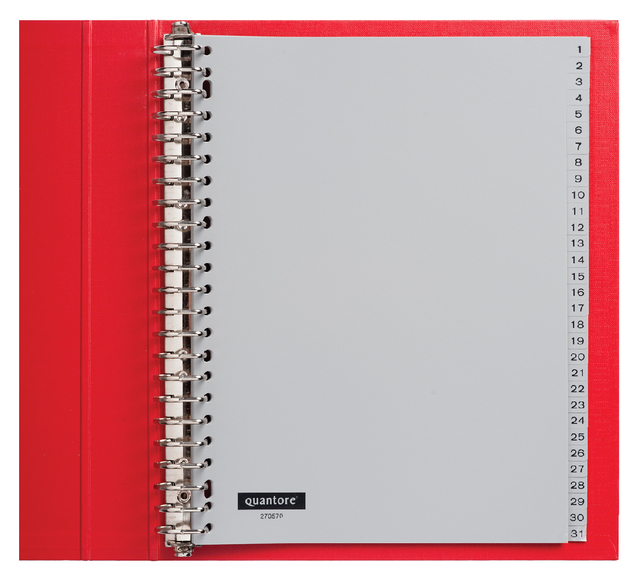 Tabbladen Quantore 23R 1 t/m 31 plastic G431CM