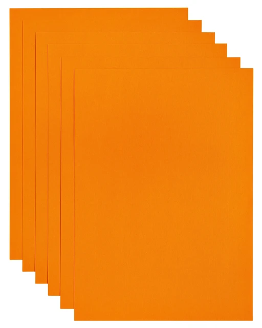 Kopieerpapier Papicolor A4 100gr 12 vel oranje