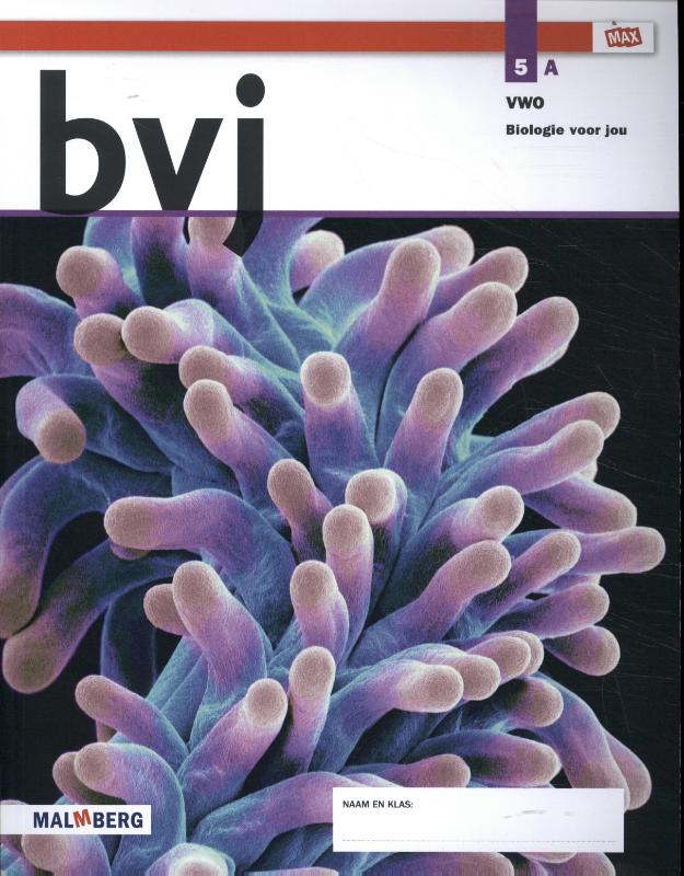 5 vwo Leeropdrachtenboek A