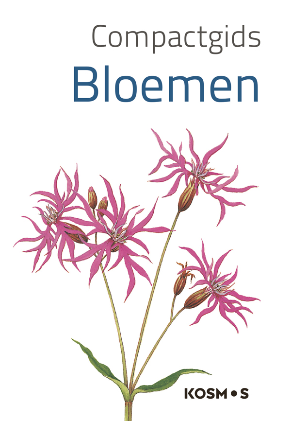 Compactgids Bloemen