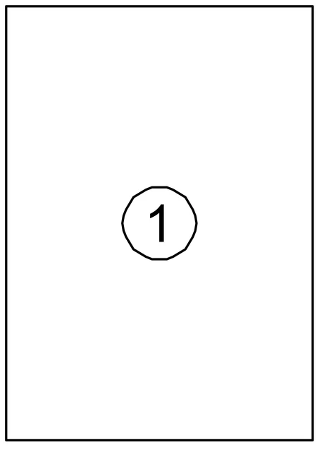 Etiket Avery DP001-100 210x297 kopieren 100 stuks