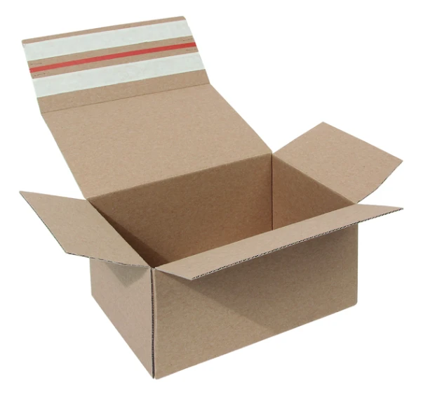 Postpakketbox Iezzy 2 200x140x80mm Wit
