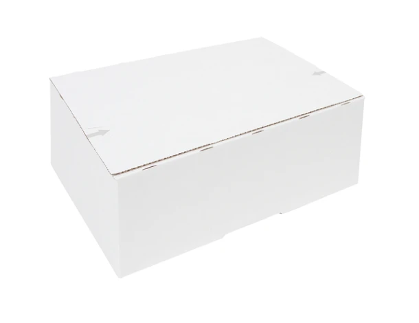Postpakketbox Iezzy 2 200x140x80mm Wit