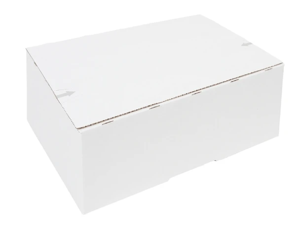 Postpakketbox Iezzy 4 305x215x110mm Wit