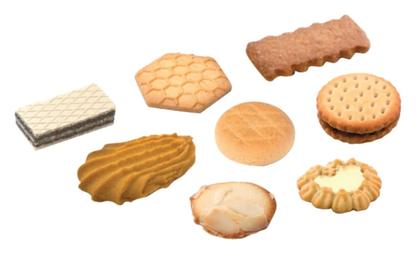 Koekjes Fantastic assortie ds a 120