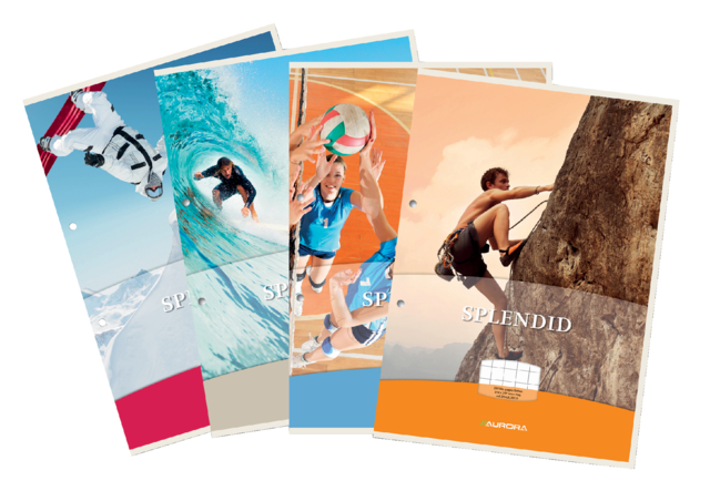 Cursusblok Splendid A4 2r Ruit 10x10mm 100v 70gr