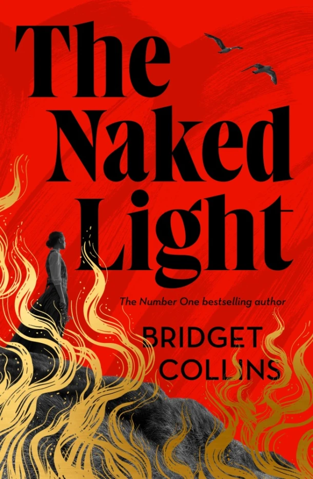 The Naked Light – Bridget Collins – boek cover