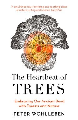 The Heartbeat of Trees – Peter Wohlleben – boek cover