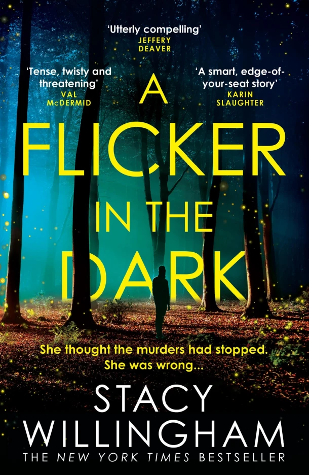 A Flicker in the Dark – Stacy Willingham – boek cover