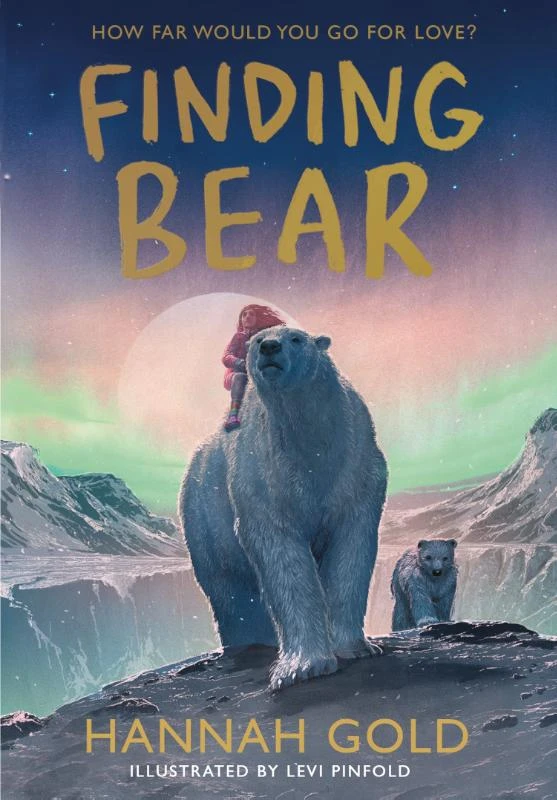 Finding Bear – Hannah Gold – boek cover