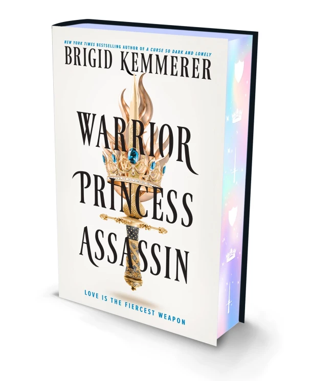 Warrior Princess Assassin – Brigid Kemmerer – boek cover