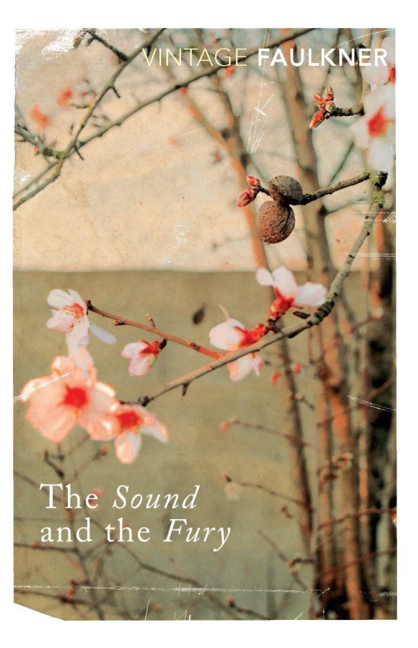 The Sound and the Fury – William Faulkner – boek cover
