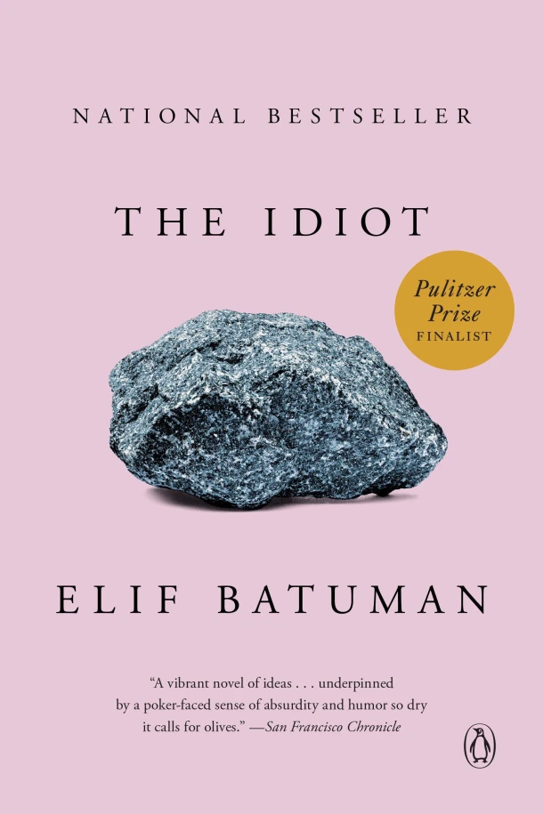 The Idiot – Elif Batuman – boek cover