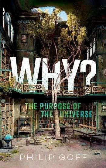 Why? The Purpose of the Universe – Philip Goff – boek cover