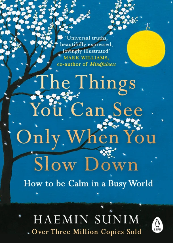 The Things You Can See Only When You Slow Down – Haemin Sunim – boek cover
