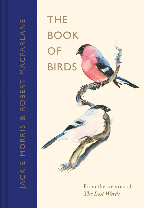 The Book of Birds – Jackie Morris – boek cover